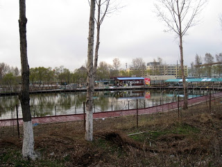 pics