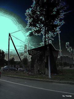 pics