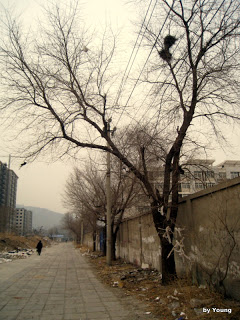 pics