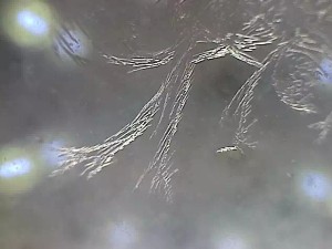 68e4c307148db48acdfa24e615a12742_b