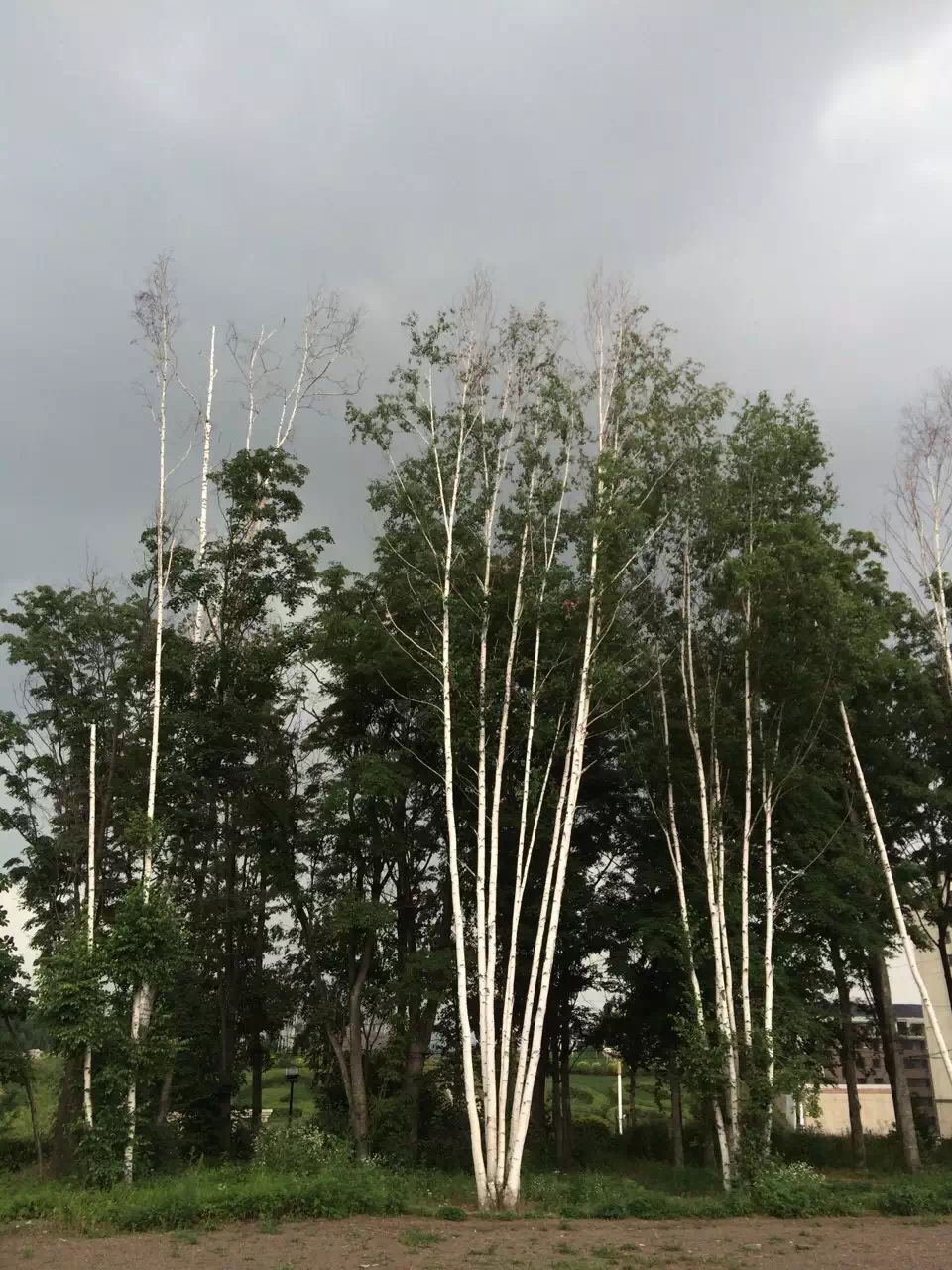 一起涂墙吧，没有艺术细胞我们还有工程思想