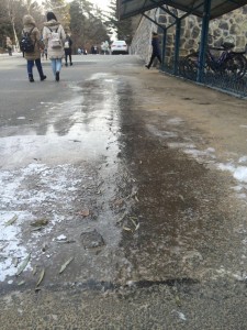 ice_road