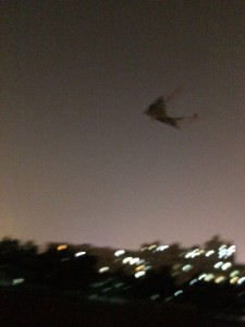 kite2