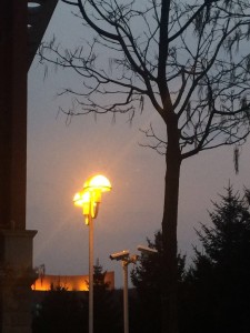light