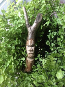 wood