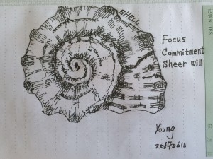 shell
