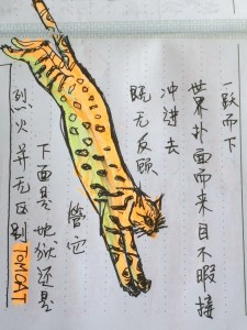 tomcat