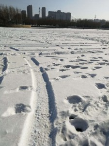 rut
