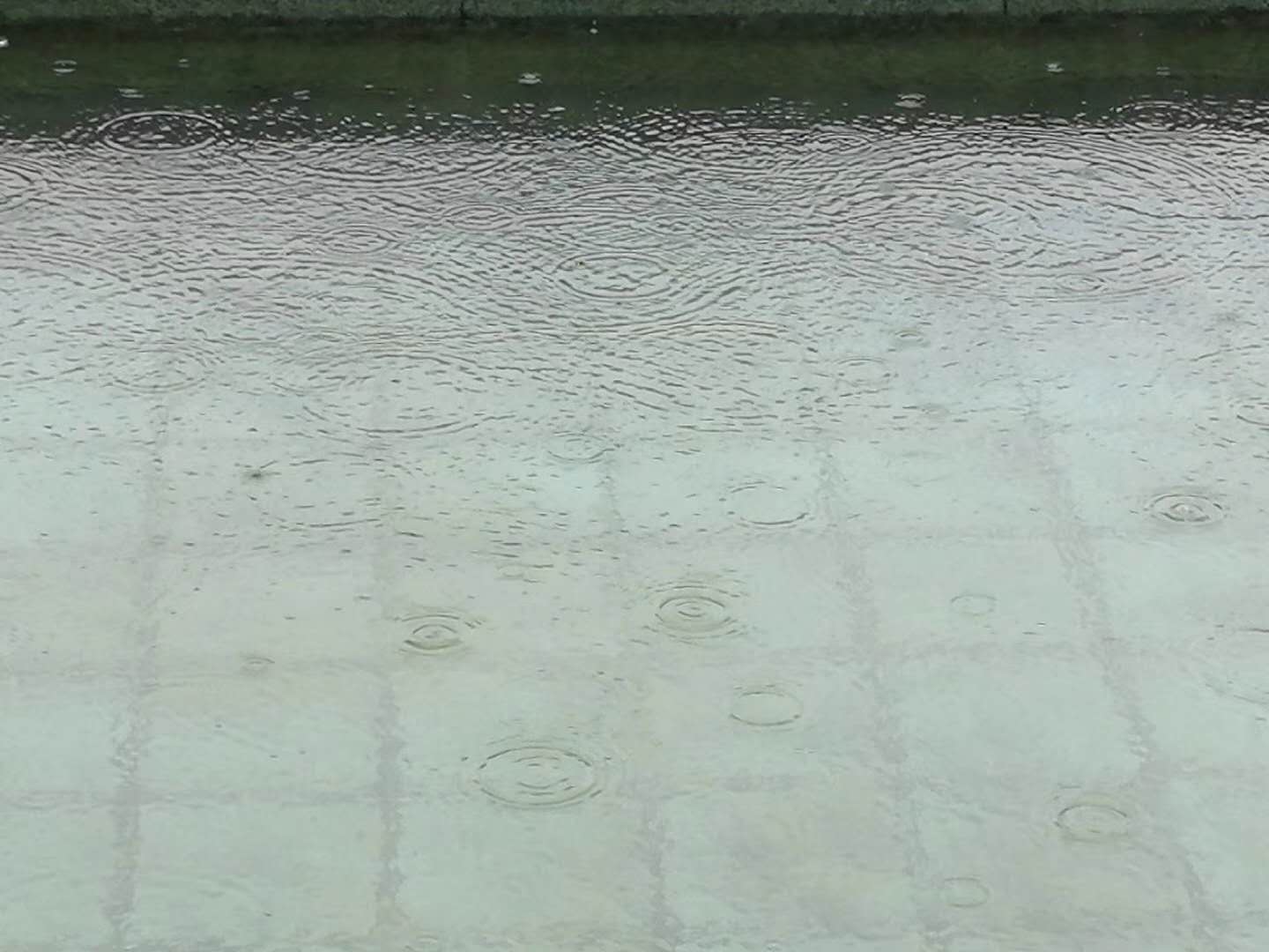 rain