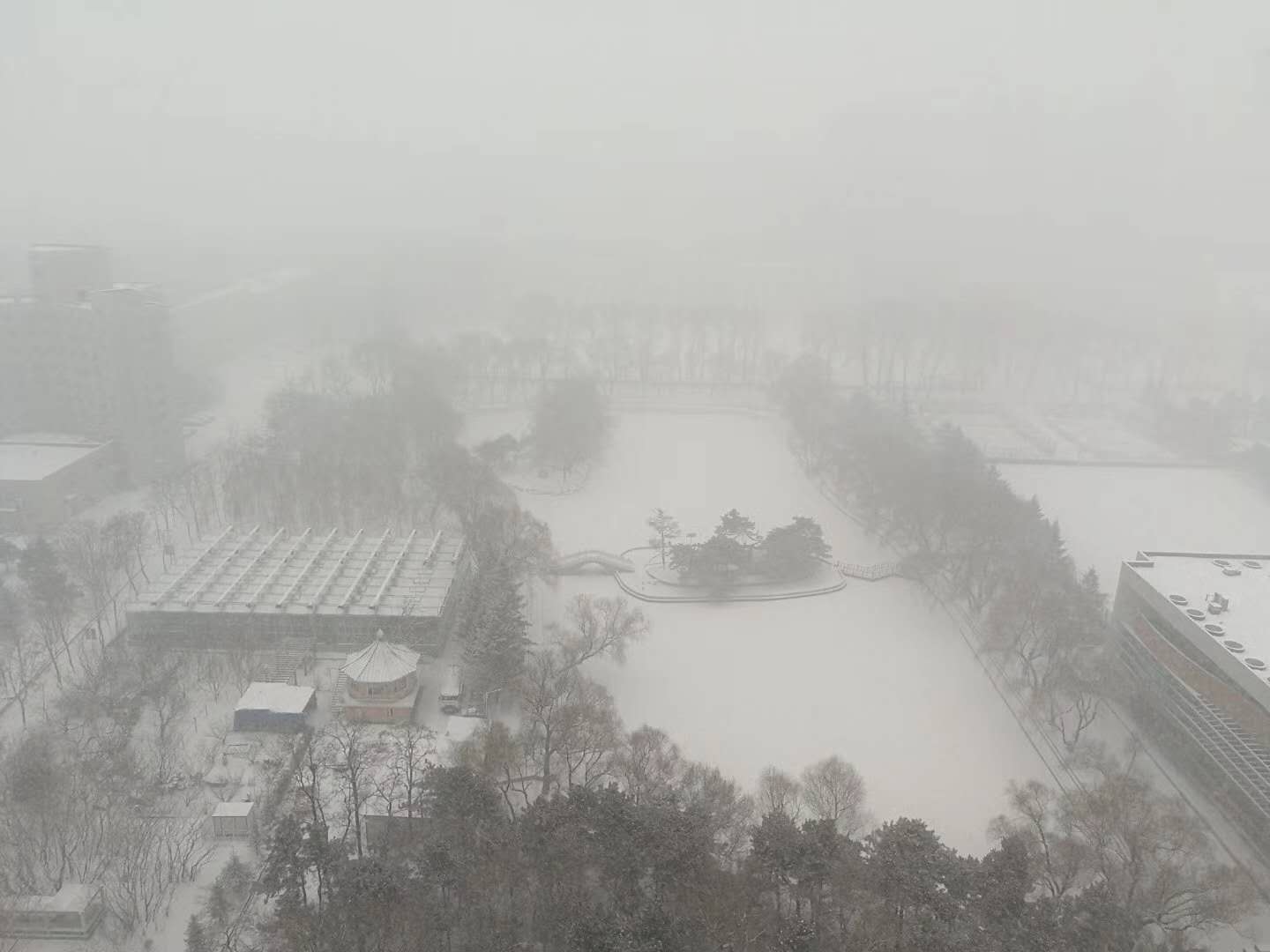 silent_moon_winter
