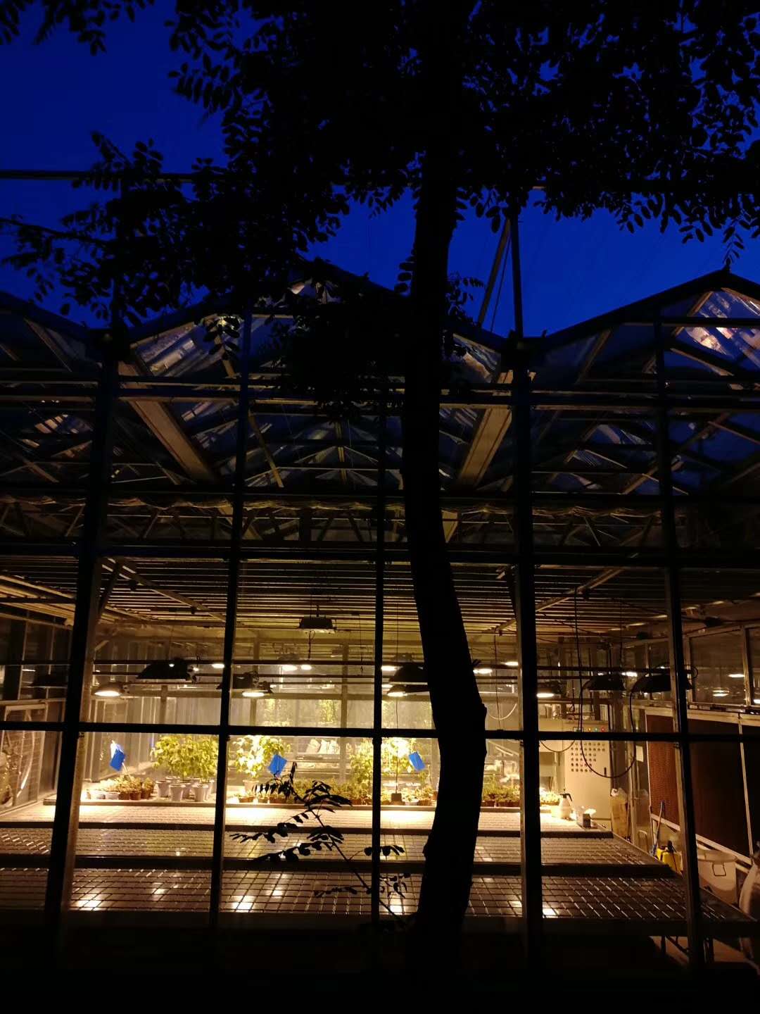 warmhouse