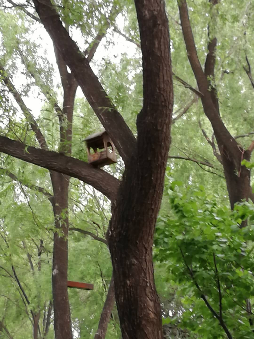 微信图片_201906031200348