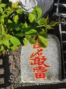 微信图片_20220512152529